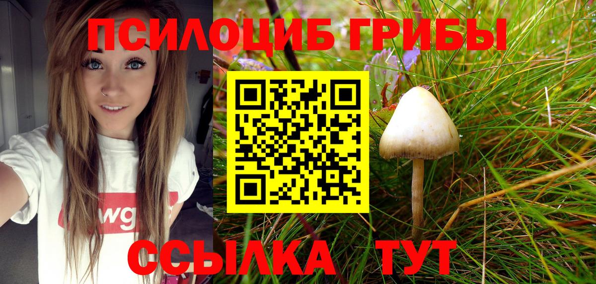 Псилоцибиновые грибы Psilocybine cubensis  Вход с VPN  Хасавюрт 