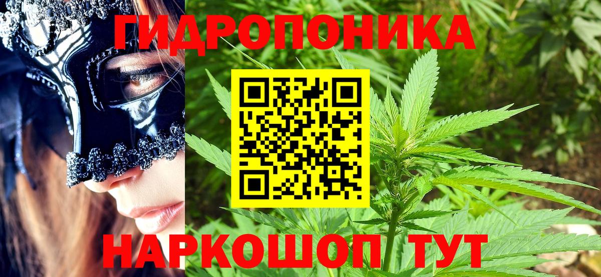 Бошки марихуана гибрид  Вход с VPN  Хасавюрт  Марихуана Bruce Banner  Марихуана конопля 